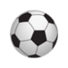 瓜拉尼蜂巢